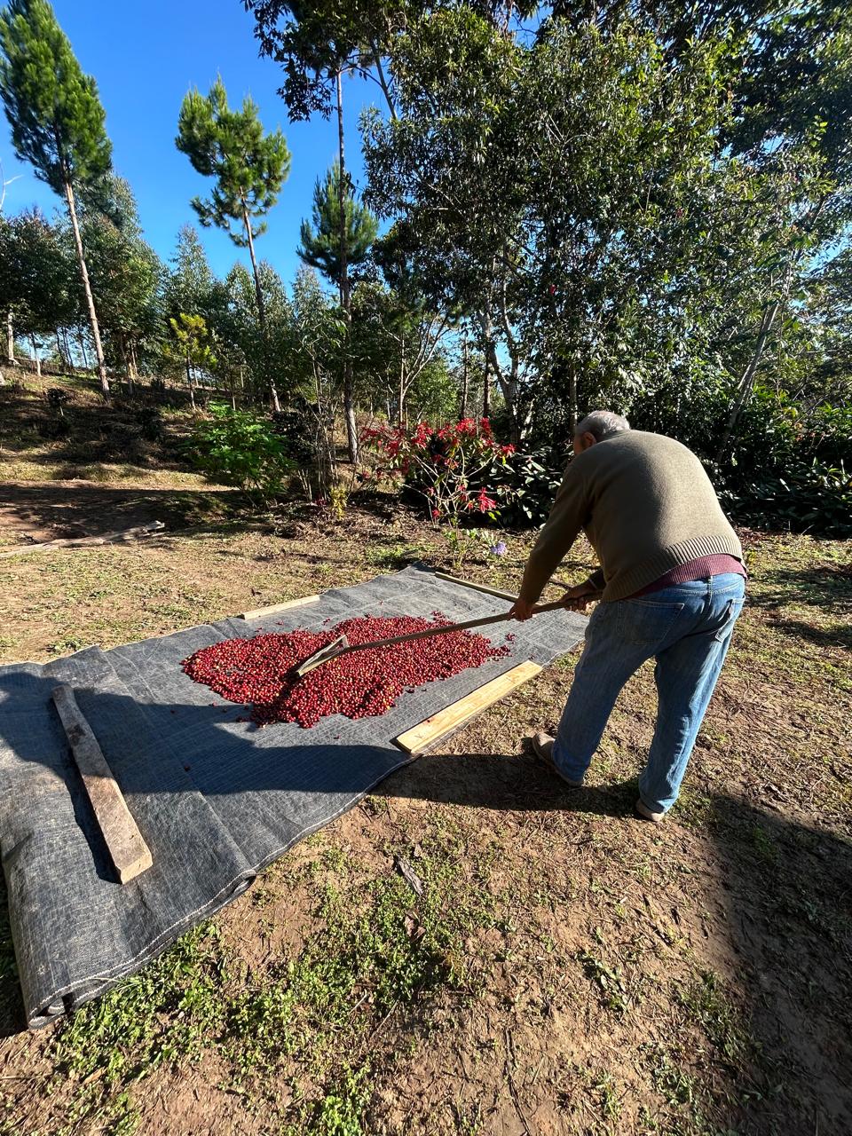 IDARU – finca en Palomar, Chanchamayo
