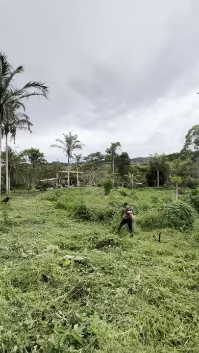 Terreno de la finca recién desmalezado